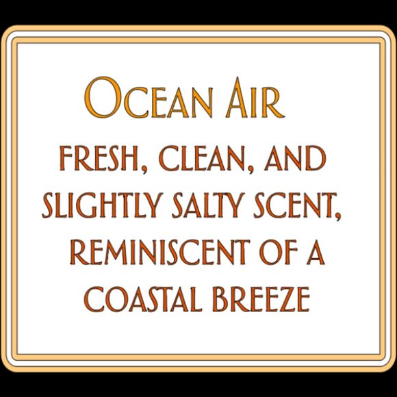 bami - Picture 10 of 15